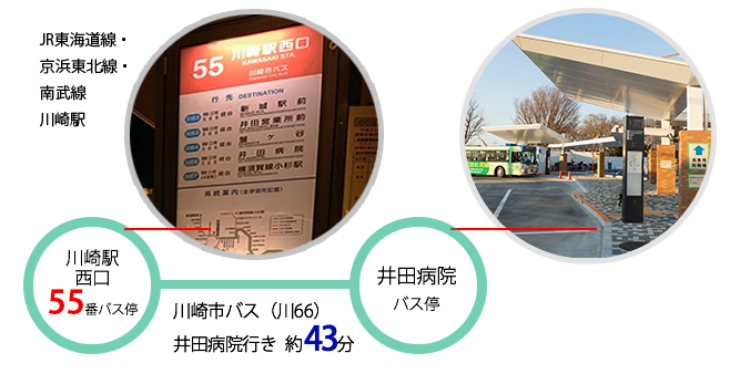 JR川崎駅西口55番バス停から、川崎市バス（川66）井田病院行きで約43分